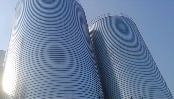 清远2座混凝土高架卷板仓